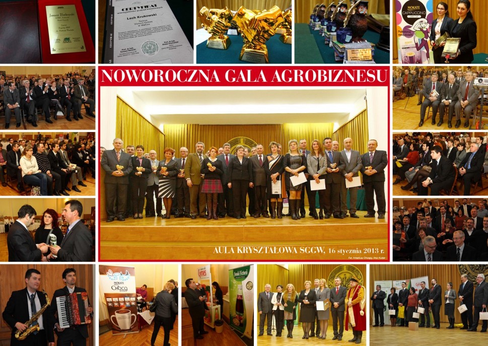 Noworoczna Gala Agrobiznesu 2013